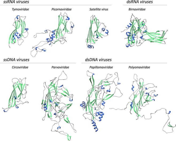 Origins and evolution of viruses of eukaryotes The ultimate modularity