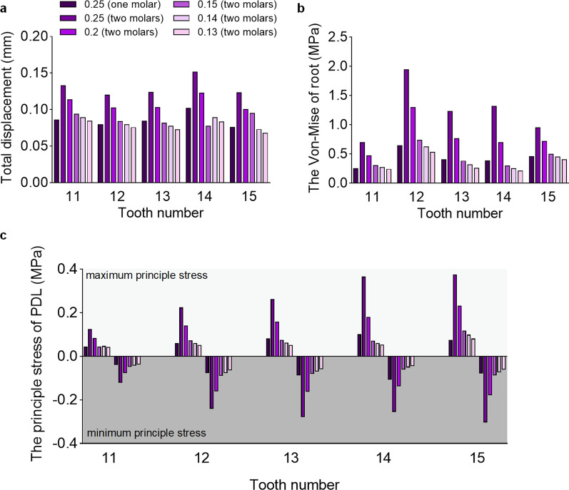 Biomechanical effects of different staging and attachment designs in