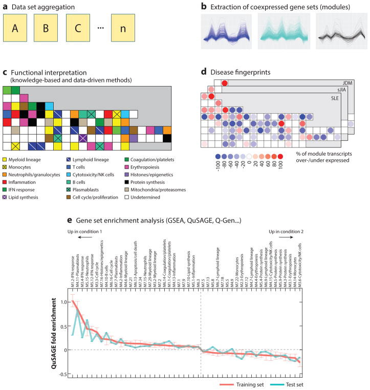 Understanding Human Autoimmunity and Autoinflammation Through
