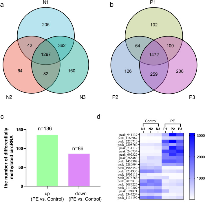 circRNA N6methyladenosine methylation in preeclampsia and the