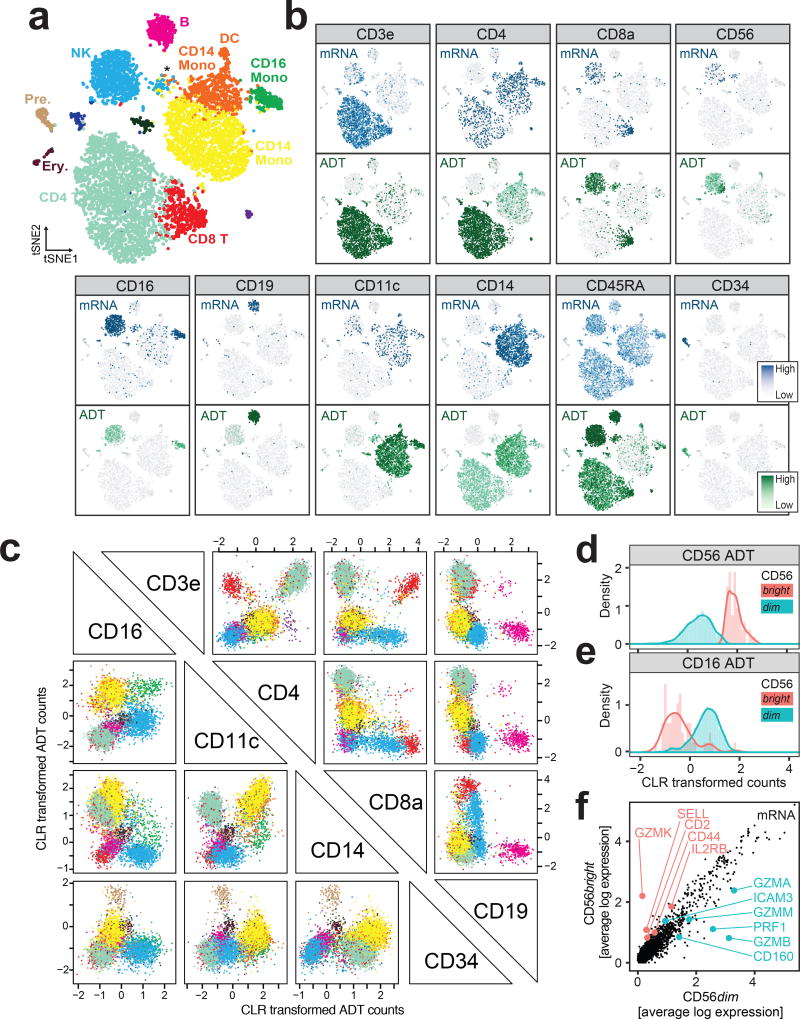 Largescale simultaneous measurement of epitopes and transcriptomes in