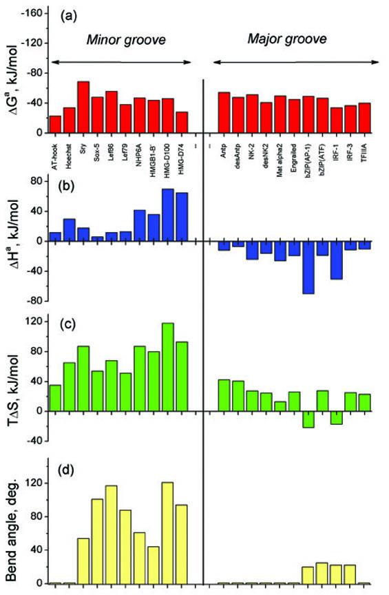What Drives Proteins into the Major or Minor Grooves of DNA? PMC