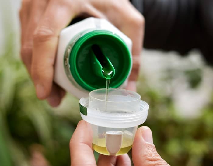 Poisonous Plants The Dangers Of Nightshades And Mushrooms Necps