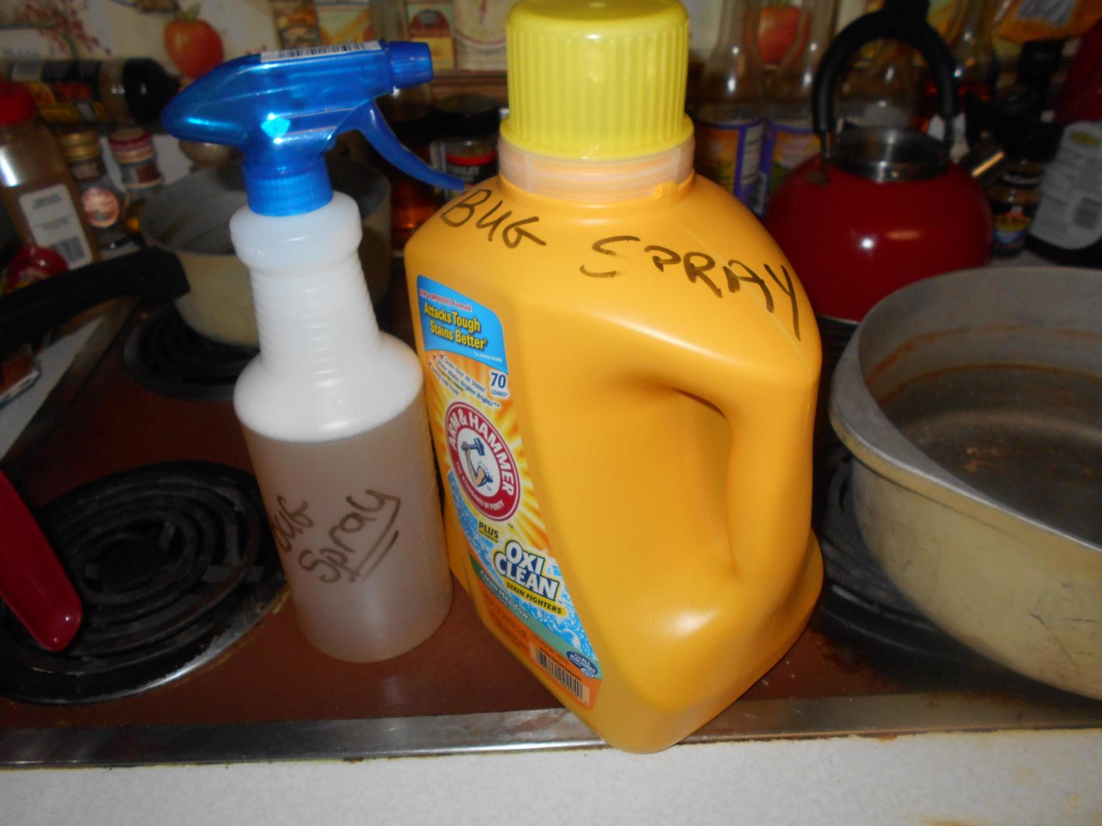 How To Keep Your Tomato Plants Safe From Bugs Without Using Chemicals