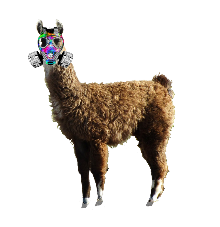 The Various Benefits To Keeping Llamas As Pets Necps