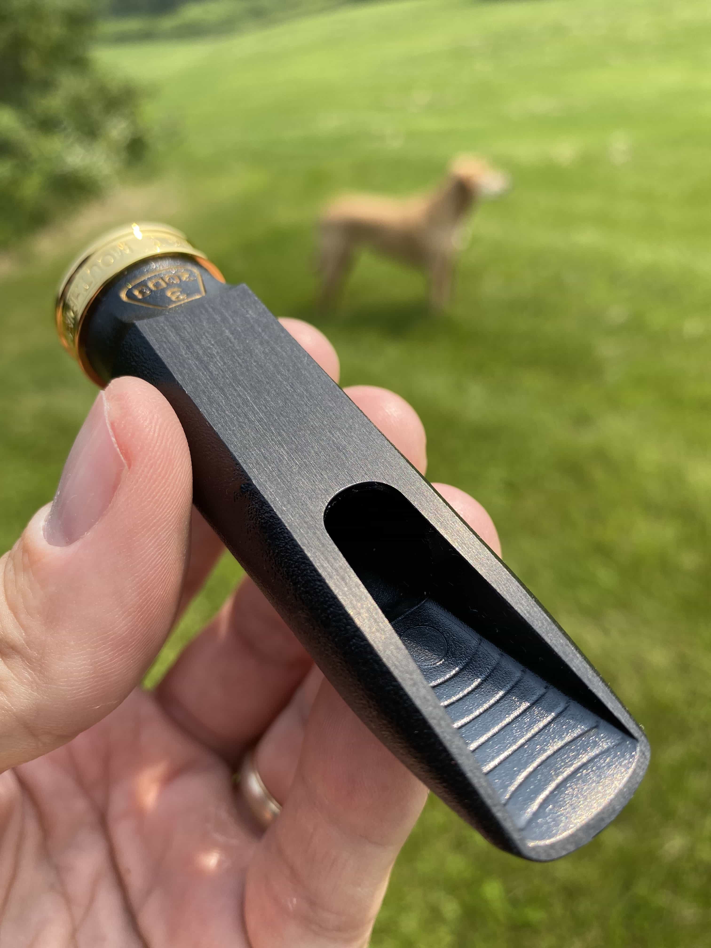 Theo Wanne Water Classical Alto Saxophone Mouthpiece Review