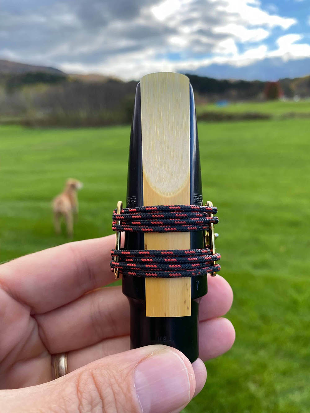 Sax Clinic SCV Saxophone Ligature Review