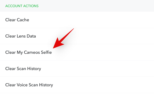 What Happens When You Delete Your Snapchat Cameo and How To Do It