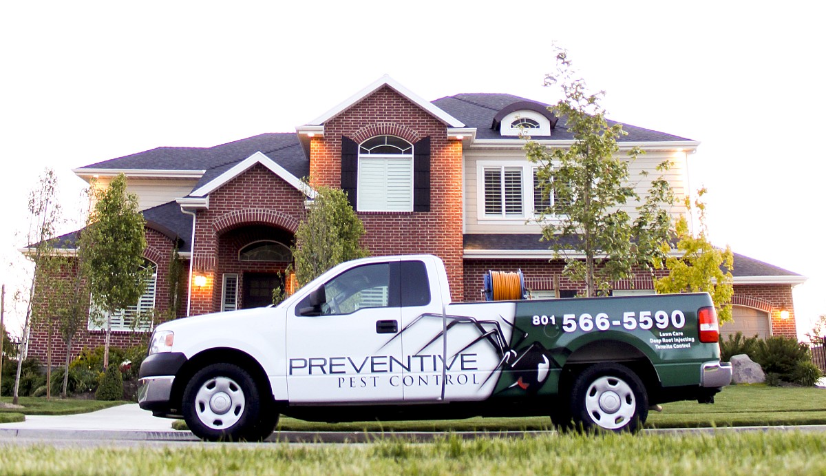 Pest Preventive Pest Control