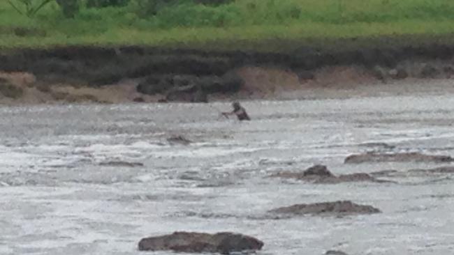 Fisherman puts life at risk wading into waistdeep, crocodileinfested