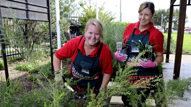 Joint review planning panel defers decision over proposed Bunnings