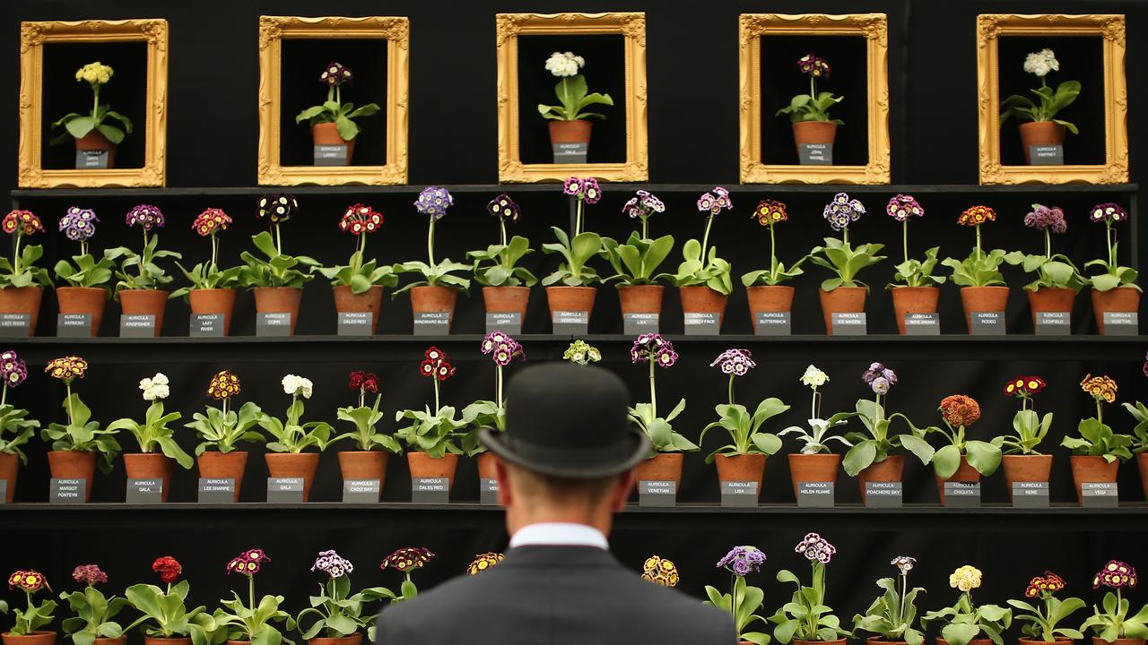 Chelsea Flower Show, London a survivor’s guide