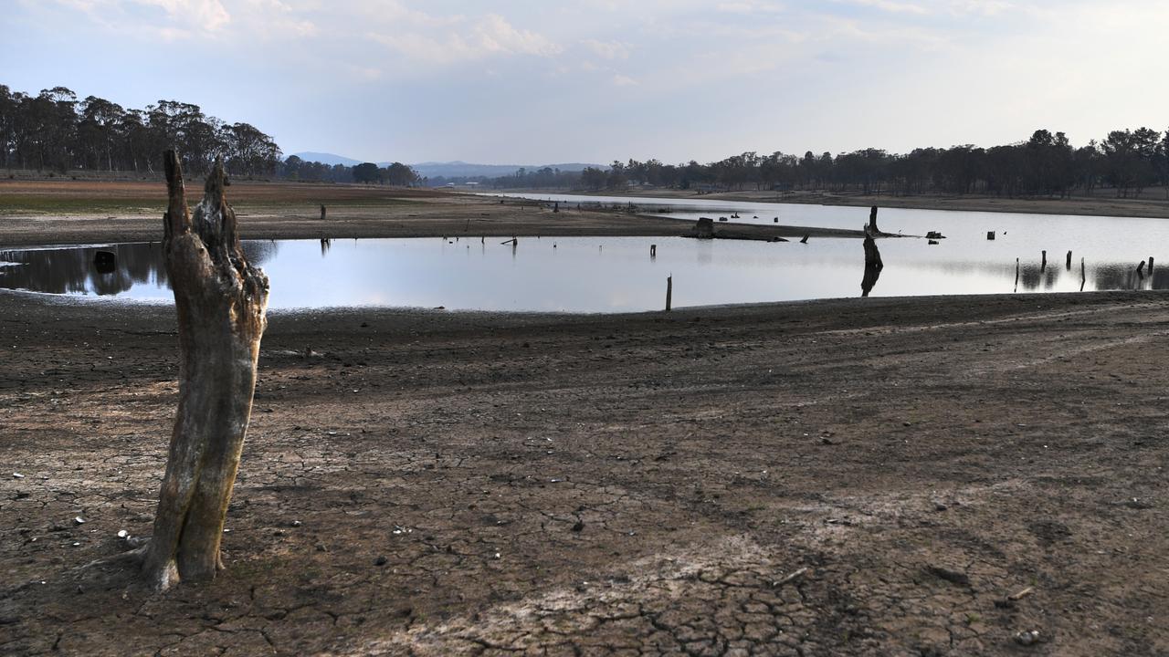 Drought action too little, too late The CourierMail