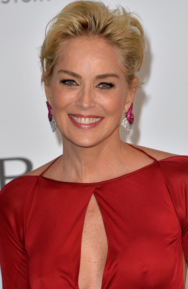 Sharon Stone stroke battle made her ageing in Hollywood