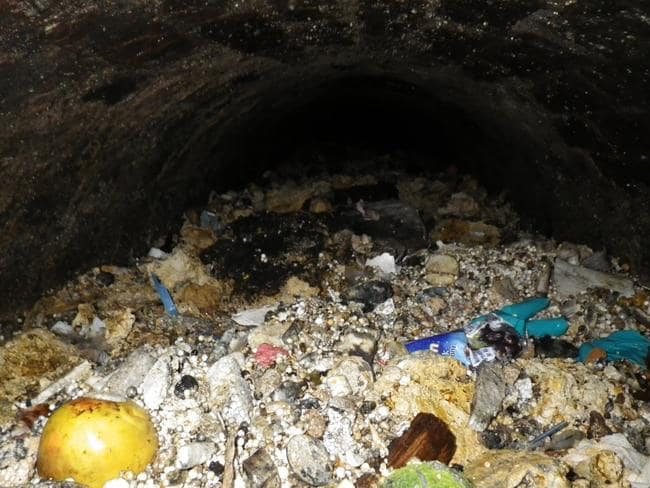Melbourne’s sewerage system clogged by fatberg, warns Yarra Valley Water