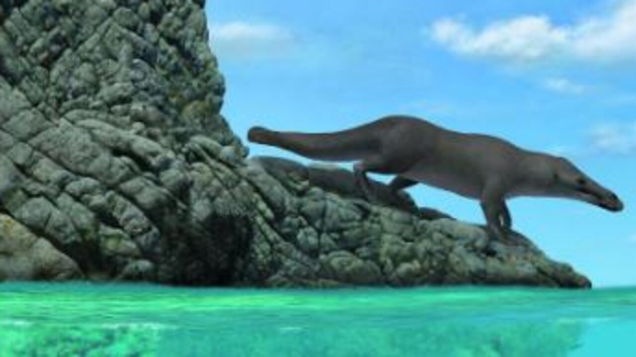 Ancient fourlegged whale walked on land, swam in sea KidsNews