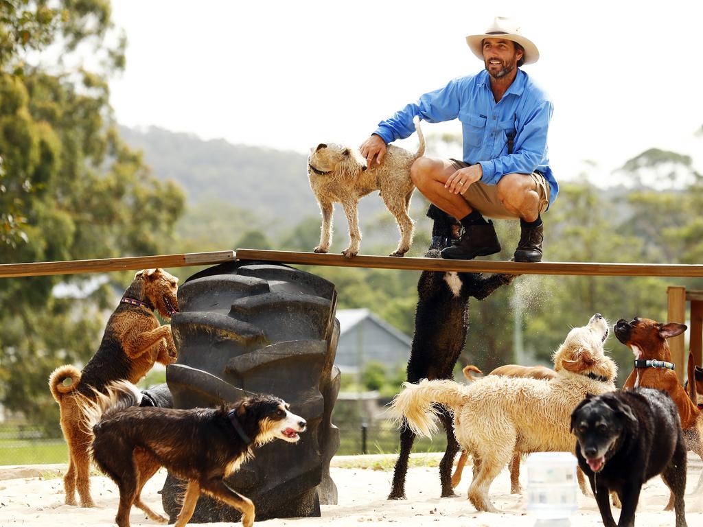 Doggy Daycare Farm Trips NSW family farewell Charlie