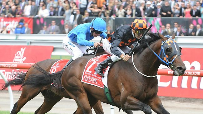 2023 Kentucky Derby Contenders Preview & Odds IBD