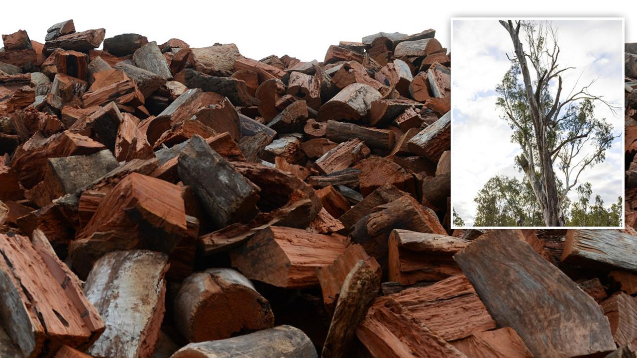 Facebook used to sell red gum trees as firewood Daily Telegraph