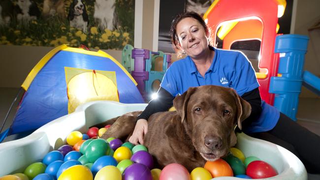 Doggie day care starts at Blue Moon Doggie Daycare Centre in Moolap