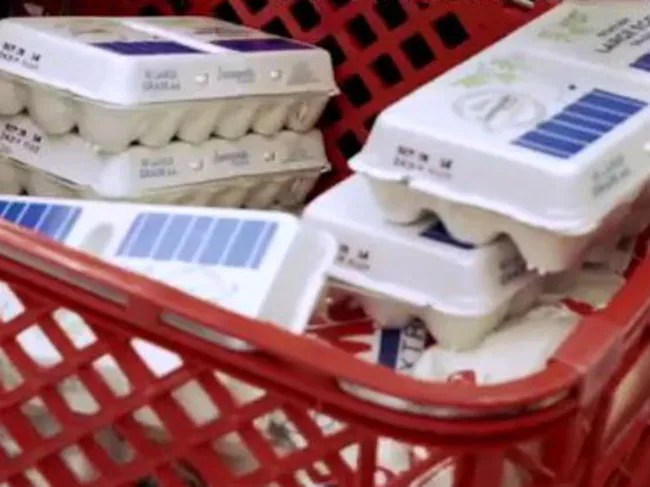 Robert Oberst’s 20,000 calorie strongman diet