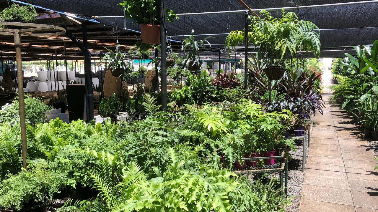 Backyard Tourist Plant nurseries on the Gold Coast for keen gardeners