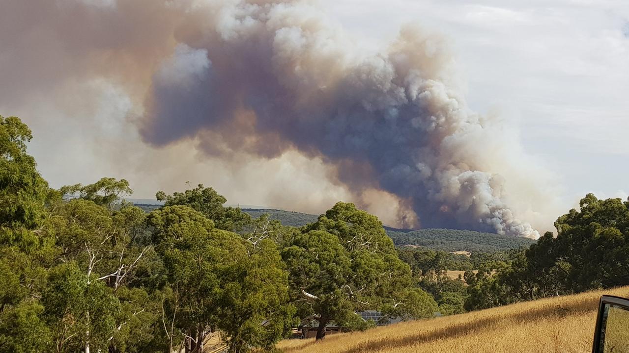 Adelaide Hills Bushfires / Adelaide Hills Bushfire Has Destroyed 86