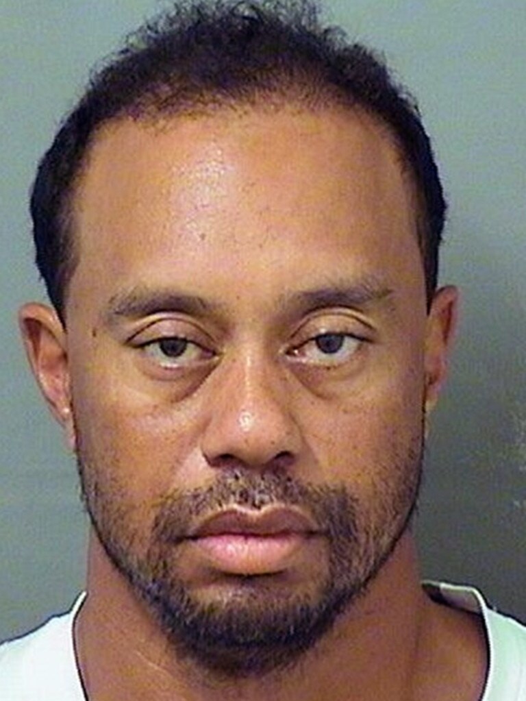 Notorious celebrity mugshots