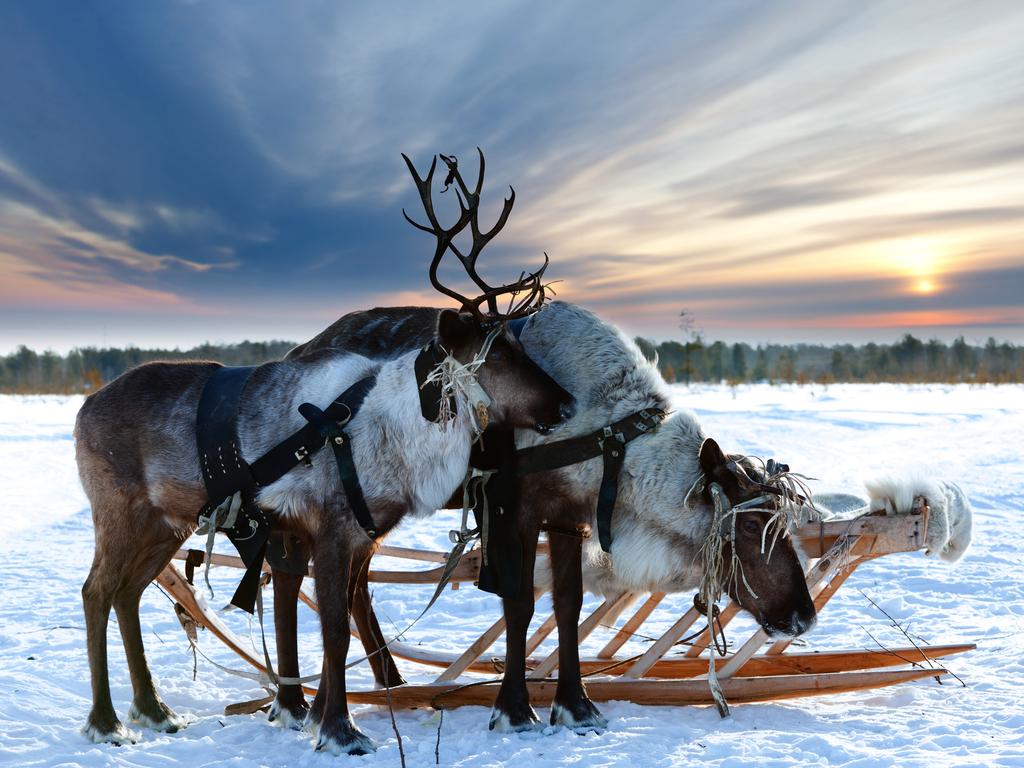 Tours That Extend Over Christmas 2017 Into Jan 2022 Great Travel Ideas For Christmas In 2022
