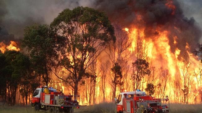 Why do people start bushfires? NT News