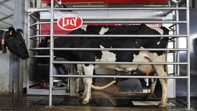Lely Astronaut A4 robotic milking system cuts down on the labour The