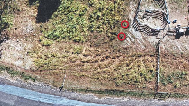 Fire ant helicopter finds only two nests in 85,000ha survey