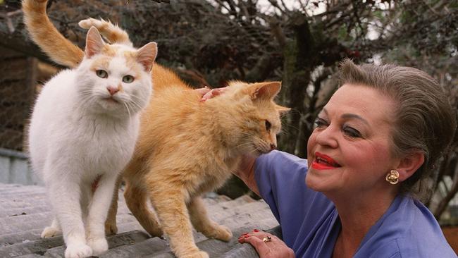 Cat lady’s house sale brings back that loving feline Adelaide Now