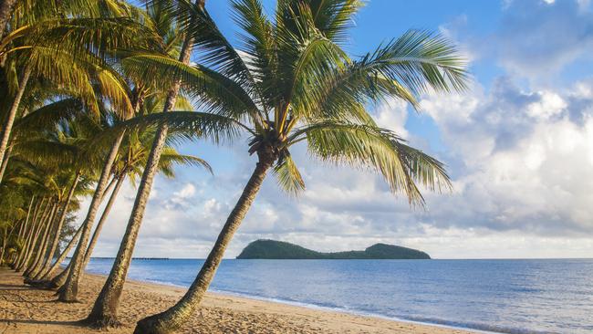 Flight Centre rates Palm Cove in top 10 global hot spots for 2015 The