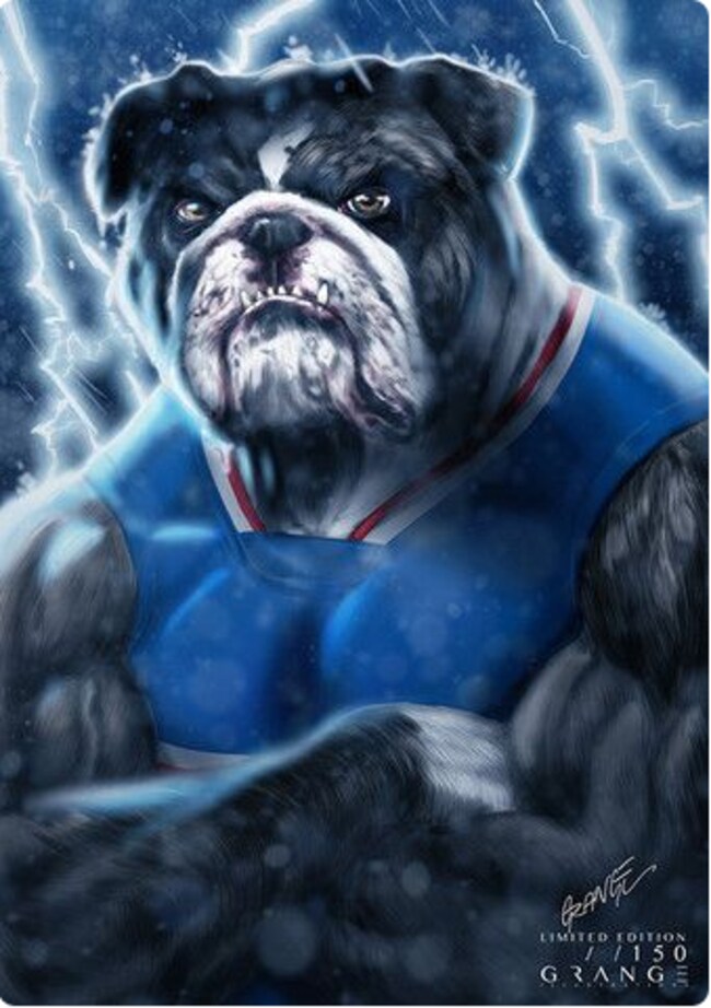 Amazing AFL logo designs by Grange Wallis. Fox Sports