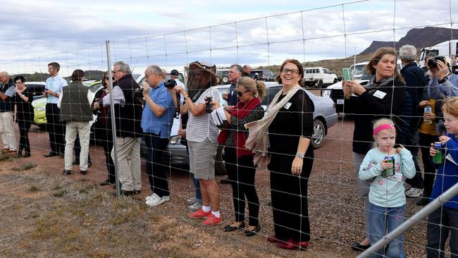 Big crowd gather to see western quolls from WA introduced to new home
