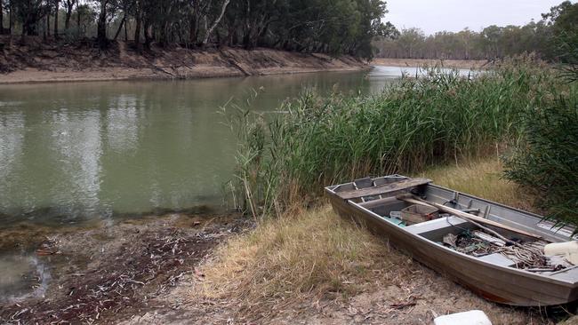 Renewed call for royal commission into MurrayDarling Basin after