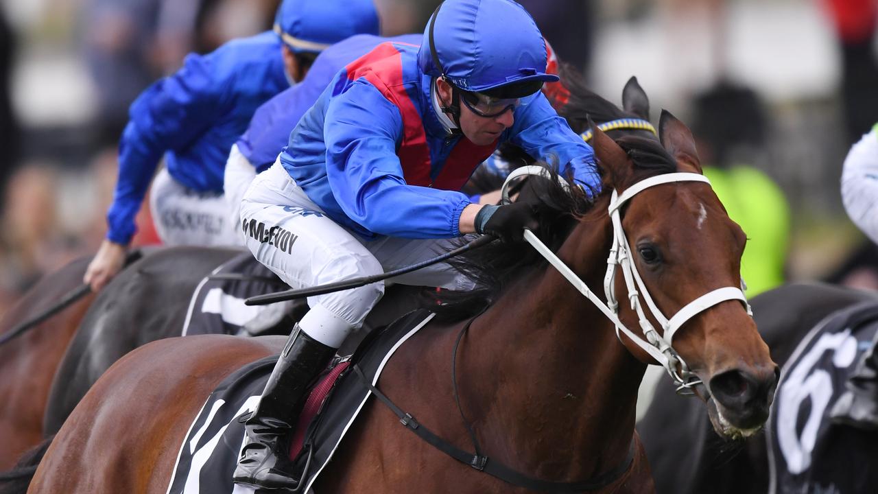 Rosehill big bets, quaddie; TAB market movers; Bookies