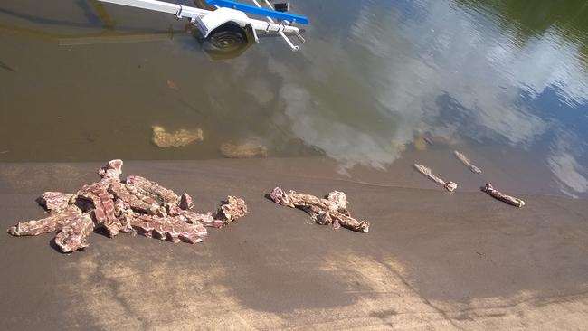 Cairns fishos fear crocs after Edmonton boat ramp dumping Cairns Post