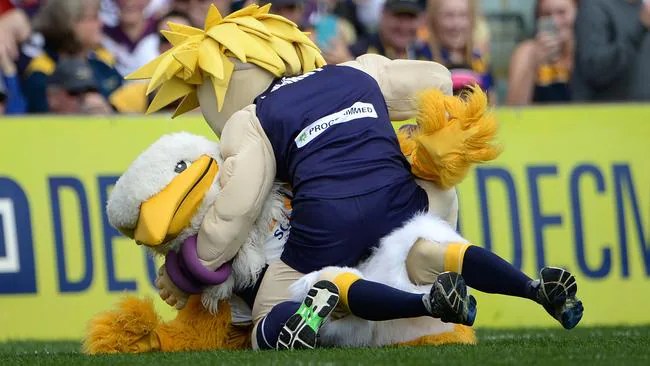 AFL West Coast Eagles Fremantle Dockers mascot is same person The