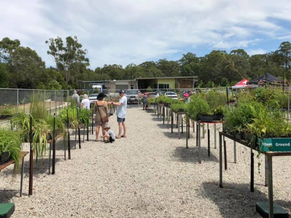 Brisbane’s cheapest native plants at Redlands Coast Indigiscapes