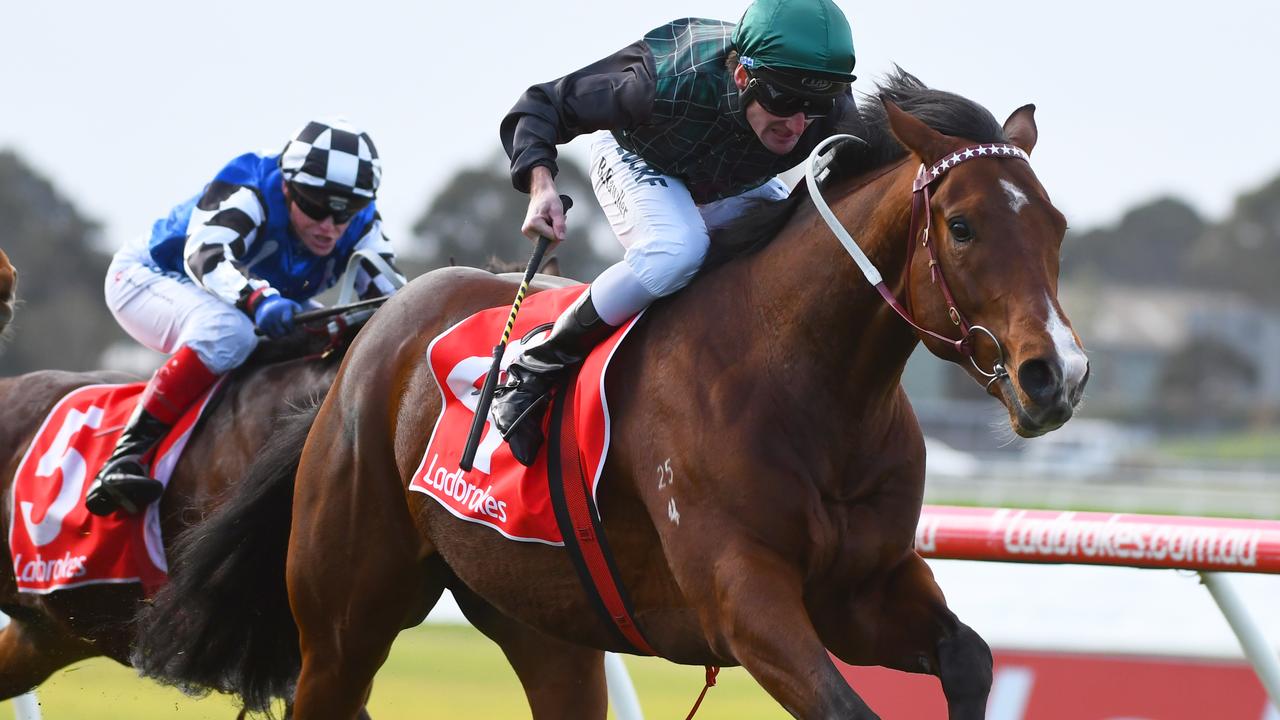 Best bets tips Caulfield quaddie races Raceday focus with