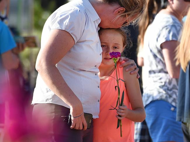 Dreamworld accident Owners Ardent have little defence, says lawyer