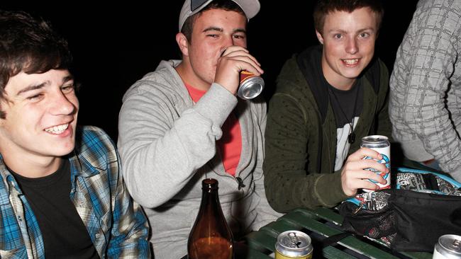 Warning over teen drinkers in Sydney Harbour parks News Local