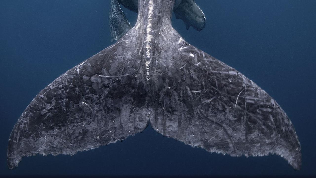 2018 National Geographic Travel Photographer of the Year