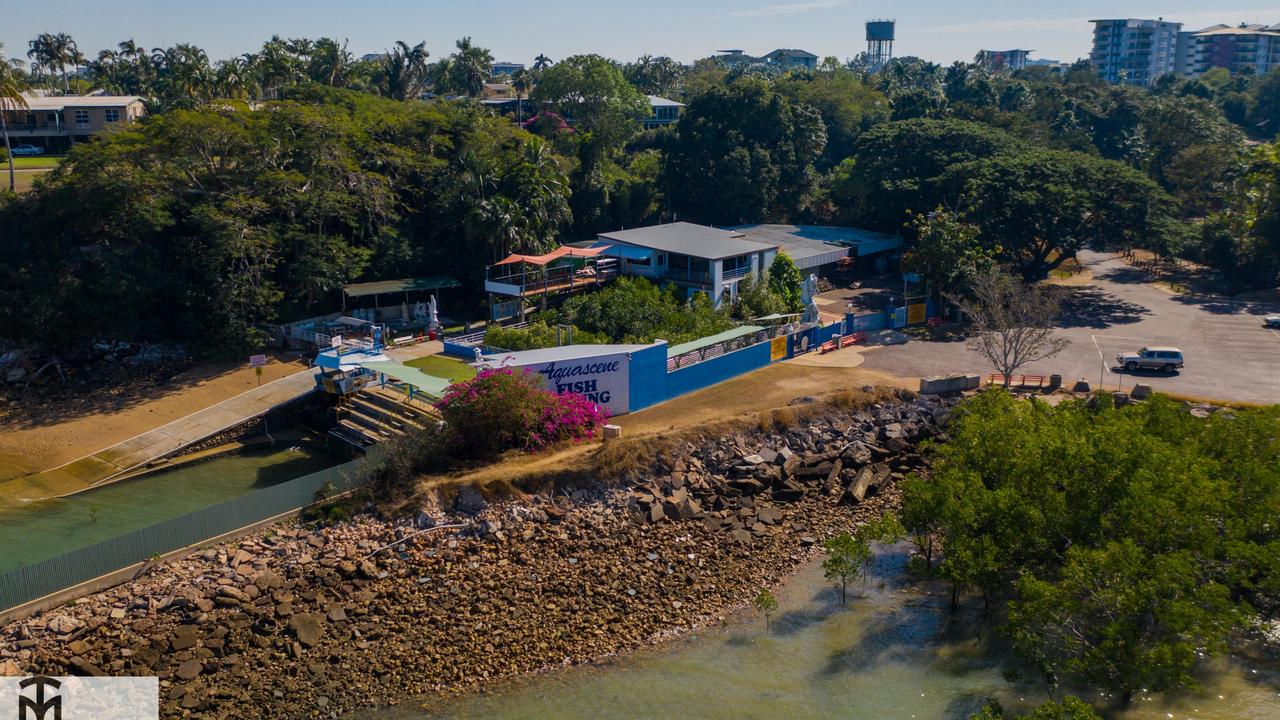 Doctors Gully Iconic Darwin Aquascene fishfeeding tourist attraction