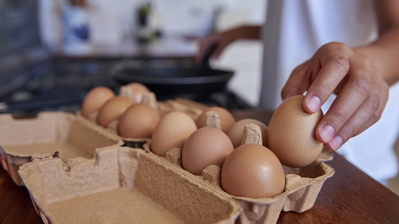 Wild birds may be behind salmonella egg recall