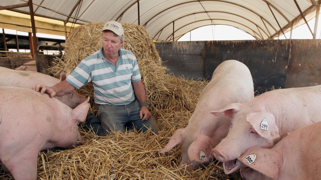 Right to farm Pig, egg and chicken producers must obtain permits to