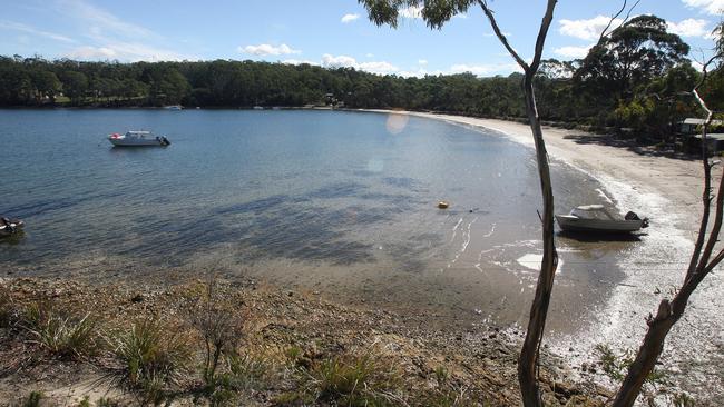 Wildflowers, not breakfast, behind Eggs and Bacon Bay name, says