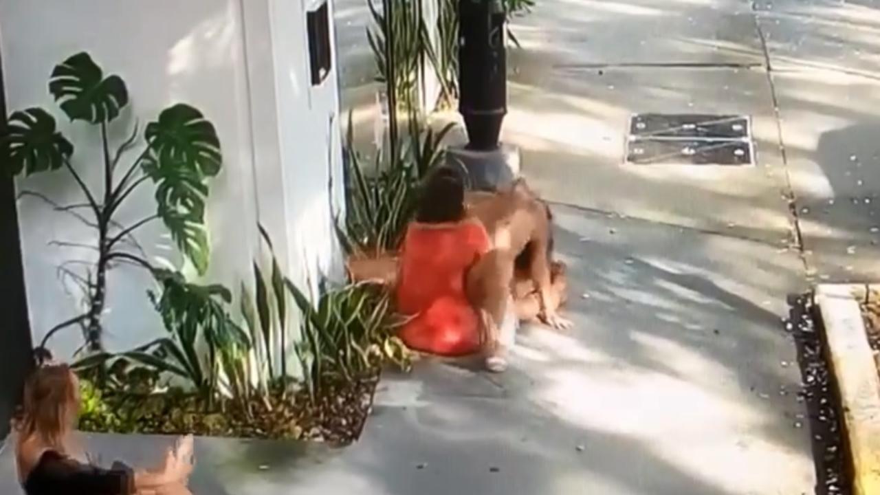 Brisbane daylight public sex Couple witnessed women’s